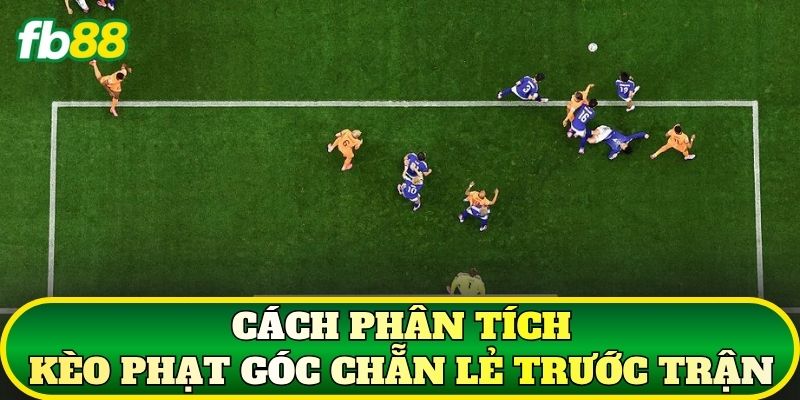 Kèo Phạt Góc Chẵn Lẻ – Cách Đọc Và Tính Kết Quả Cuối Cùng 3 Cách phân tích kèo phạt góc chẵn lẻ trước trận